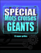 Spécial mots croisés géants&nbsp;-&nbsp;Collectif