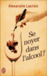 Se noyer dans l'alcool ?&nbsp;-&nbsp;Alexandre Lacroix
