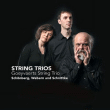 Schoenberg, Webern, Schnittke&nbsp;-&nbsp;Trios a cordes