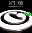 Gotthard&nbsp;-&nbsp;Domino effect