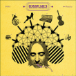 Shawn Lee's Ping Pong Orchestra&nbsp;-&nbsp;Voices and choices