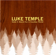 Luke Temple&nbsp;-&nbsp;Hold a match for a gasoline world
