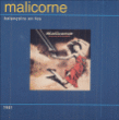 Malicorne&nbsp;-&nbsp;Balançoire en feu