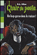 Chair de poule, T60&nbsp;-&nbsp;Robert Lawrence Stine