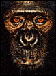 James and other Apes&nbsp;-&nbsp;James Mollison