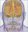 Le grand Larousse du cerveau&nbsp;-&nbsp;Collectif