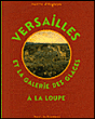 La Galerie des Glaces à la loupe&nbsp;-&nbsp;Valérie D'Anglejan