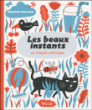 Les beaux instants&nbsp;-&nbsp;Laurent Moreau