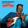 Muddy Waters