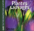 Plantes sauvages&nbsp;-&nbsp;Collectif