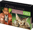Chats du monde en 365 jours&nbsp;-&nbsp;Collectif