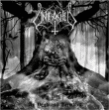 Unleashed&nbsp;-&nbsp;As yggdrasil trembles