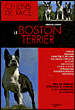 Boston terrier&nbsp;-&nbsp;Christian Limouzy