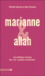Marianne et Allah&nbsp;-&nbsp;Vincent Geisser, Aziz Zemouri