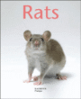 Rats&nbsp;-&nbsp;Gerd Ludwig