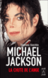 Michael Jackson, la chute de l'ange&nbsp;-&nbsp;Stéphane Koechlin