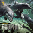 Les dauphins&nbsp;-&nbsp;Flip Nicklin, Linda Nicklin
