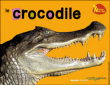 Le crocodile&nbsp;-&nbsp;Collectif