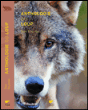 Anthologie du loup&nbsp;-&nbsp;Elise Rousseau