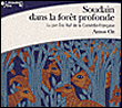 Soudain dans la forêt profonde