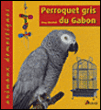 Perroquet gris du Gabon&nbsp;-&nbsp;Greg Glendell
