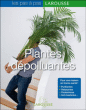 Plantes dépolluantes&nbsp;-&nbsp;Collectif