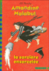 Amandine Malabul - La sorcière ensorcelée