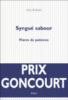 Syngué Sabour, pierre de patience