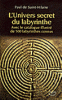 L'univers secret du labyrinthe