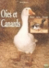 Les oies et canards