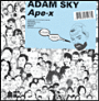 Adam Sky