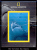 Sur les Traces des Requins