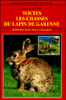 Toutes les chasses du lapin de Garenne