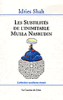 Les subtilités de l'inimitable Mulla Nasrudin