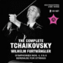 Piotr Ilitch Tchaïkovski