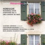 Arthur Honegger