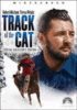 Track of the cat