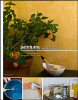 Peintures, recettes maison