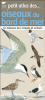 Petit atlas des oiseaux de bord de mer