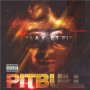 Pitbull