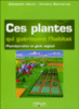 Ces plantes qui guérissent l'habitat