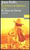 Le llano en flammes