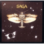 Saga