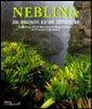 Neblina, de brumes et de senteurs