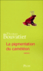 La pigmentation du caméléon