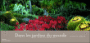 Dans les jardins du monde