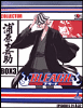 Bleach - Bleach