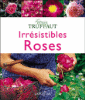 Irrésistibles roses