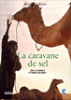 La caravane de sel