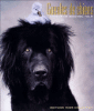 Gueules de chien